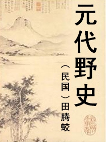元代野史