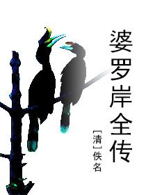 婆罗岸全传